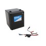 GTO/Linear  Pro Empty Control Box for 2000XLS Automatic Swing Gate Opener - PRO2000XLSCBOXASYMT